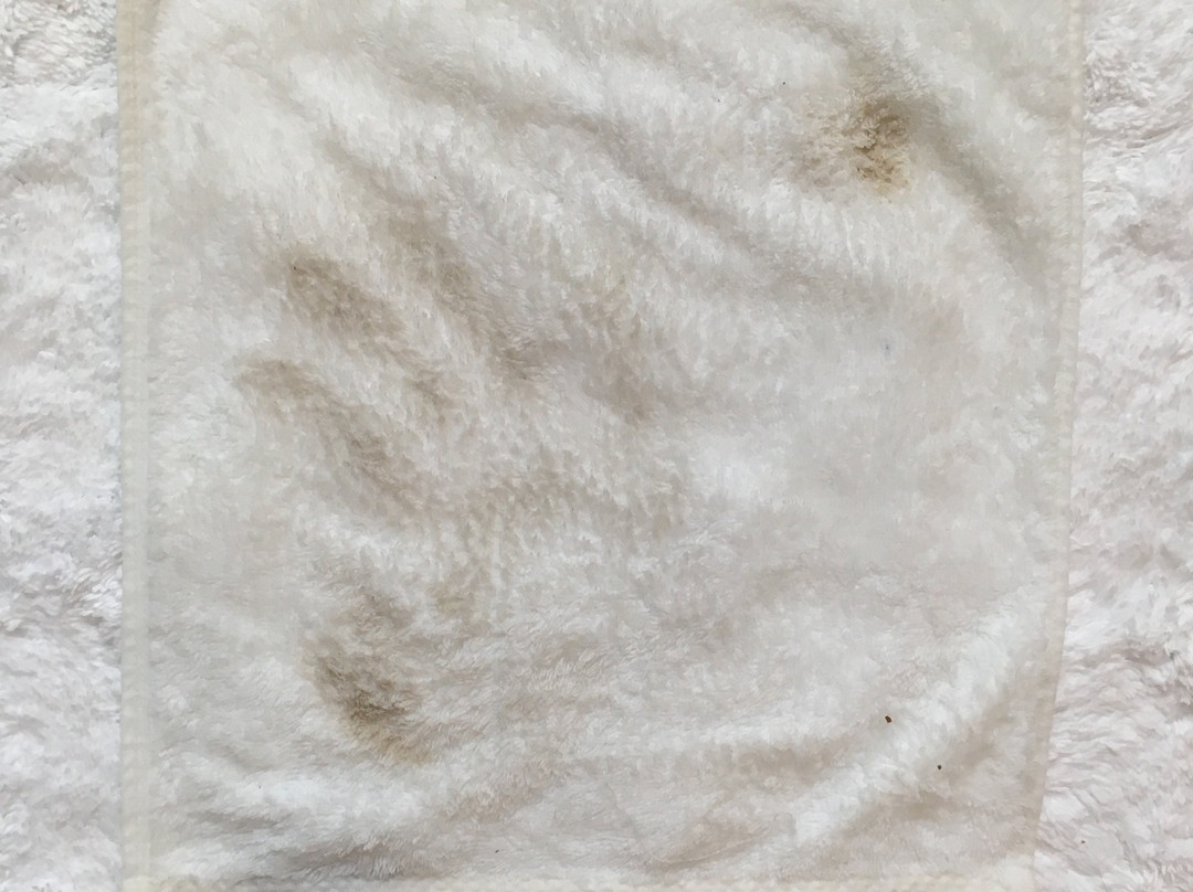 The Adelphi Hotel主图