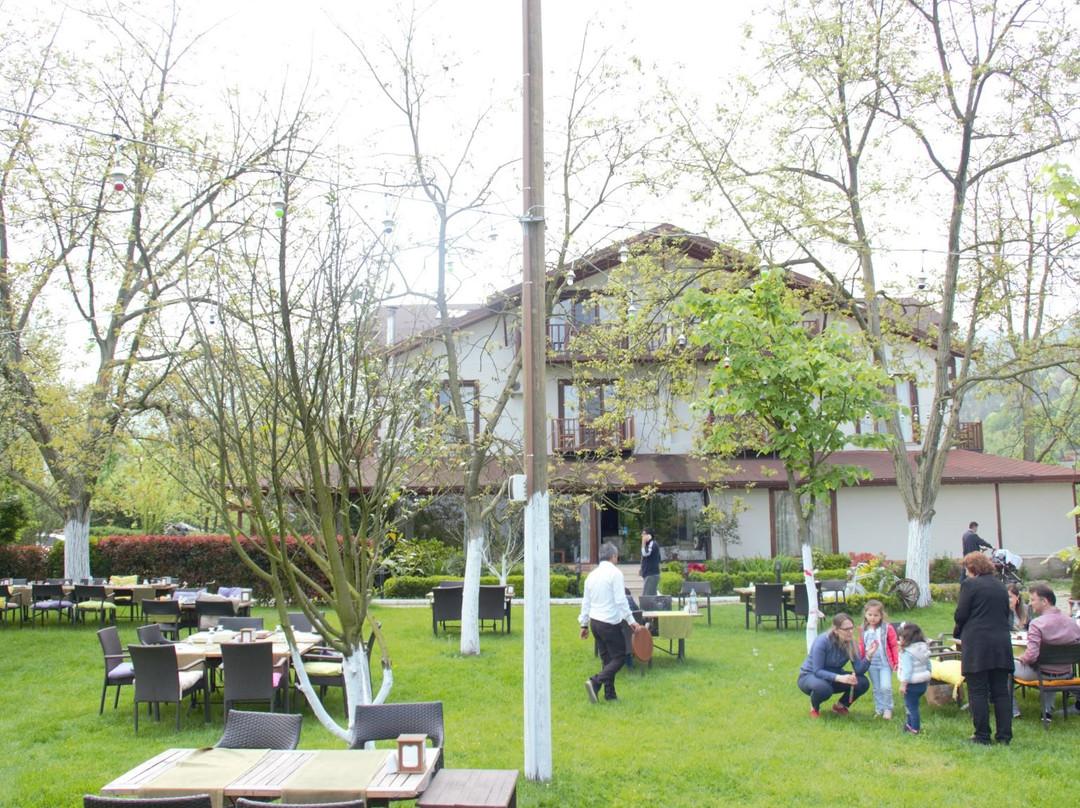 Cevizdibi Hotel主图