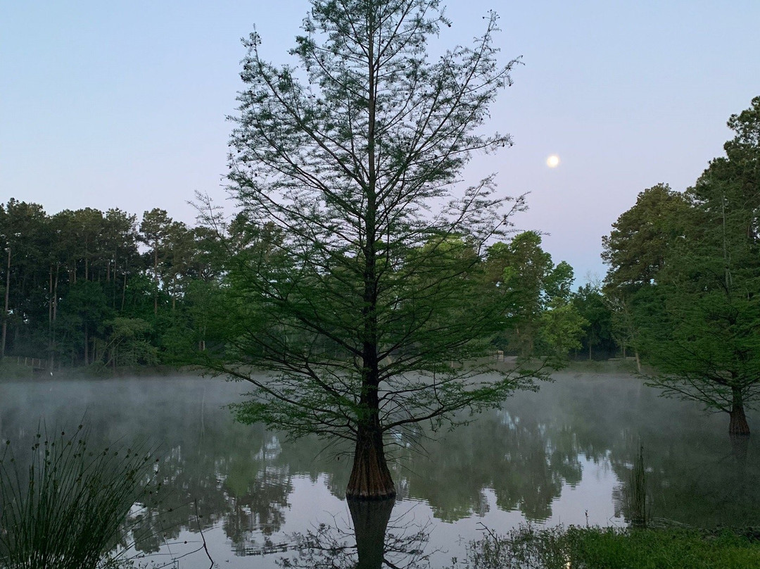 Meyer Park-斯普林必去景点
