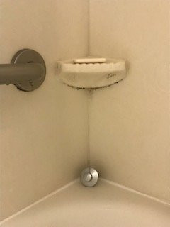 SpringHill Suites by Marriott Newnan主图