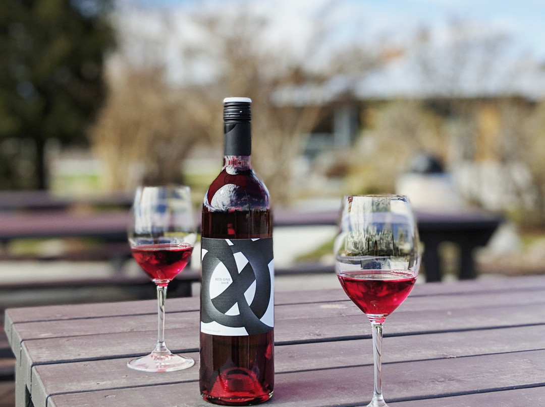 8th Generation Vineyard景点图片