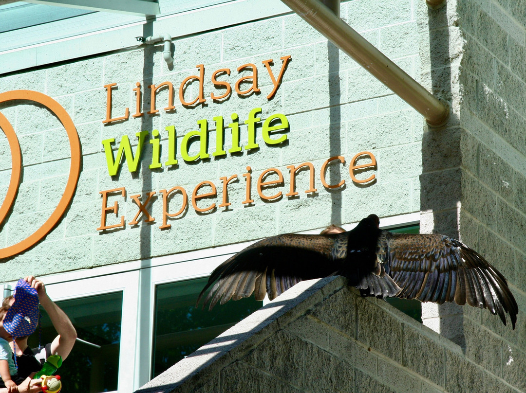 Lindsay Wildlife Museum景点图片