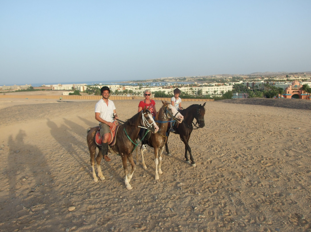 Sharm-达哈卜必去景点