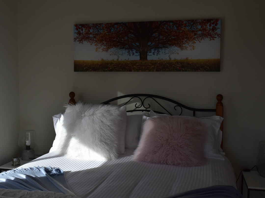 Mansfield Evening Star主图