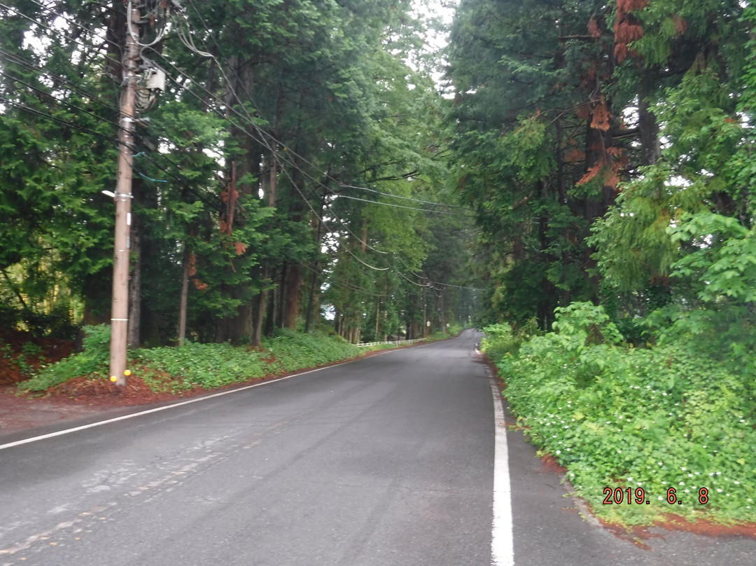 Cryptomeria Avenue-日光市必去景点