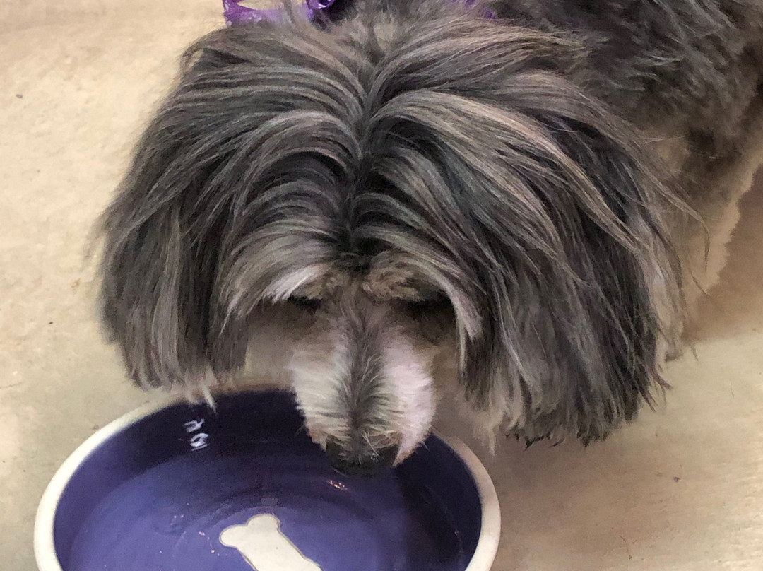 Mountain Pottery-Idyllwild必去景点