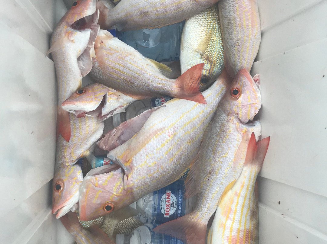 Bonefish Stevie-George Town必去景点