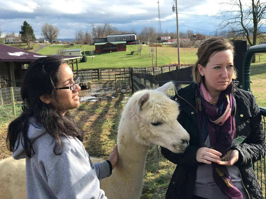 Dreamland Alpacas LLC-Meadowview必去景点