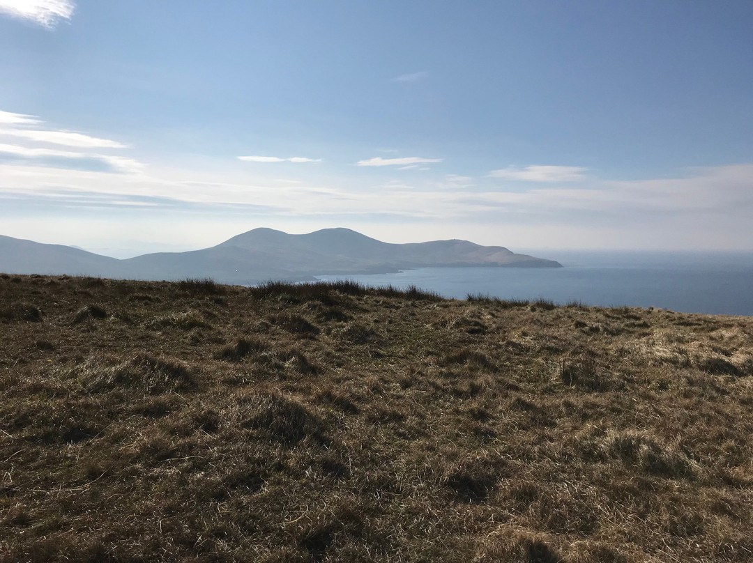 Beach Cove B&B主图