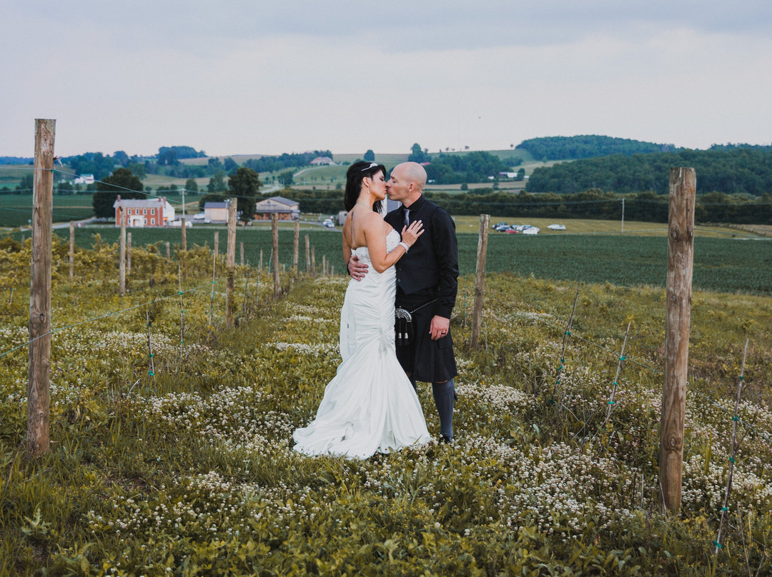 Vinberige Vineyards-Glenford必去景点