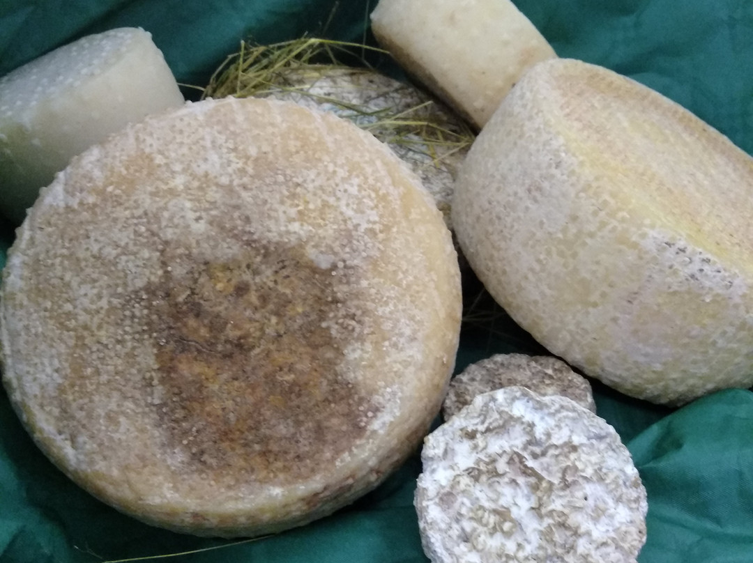 Fattoria delle Milizie Agriturismo景点图片