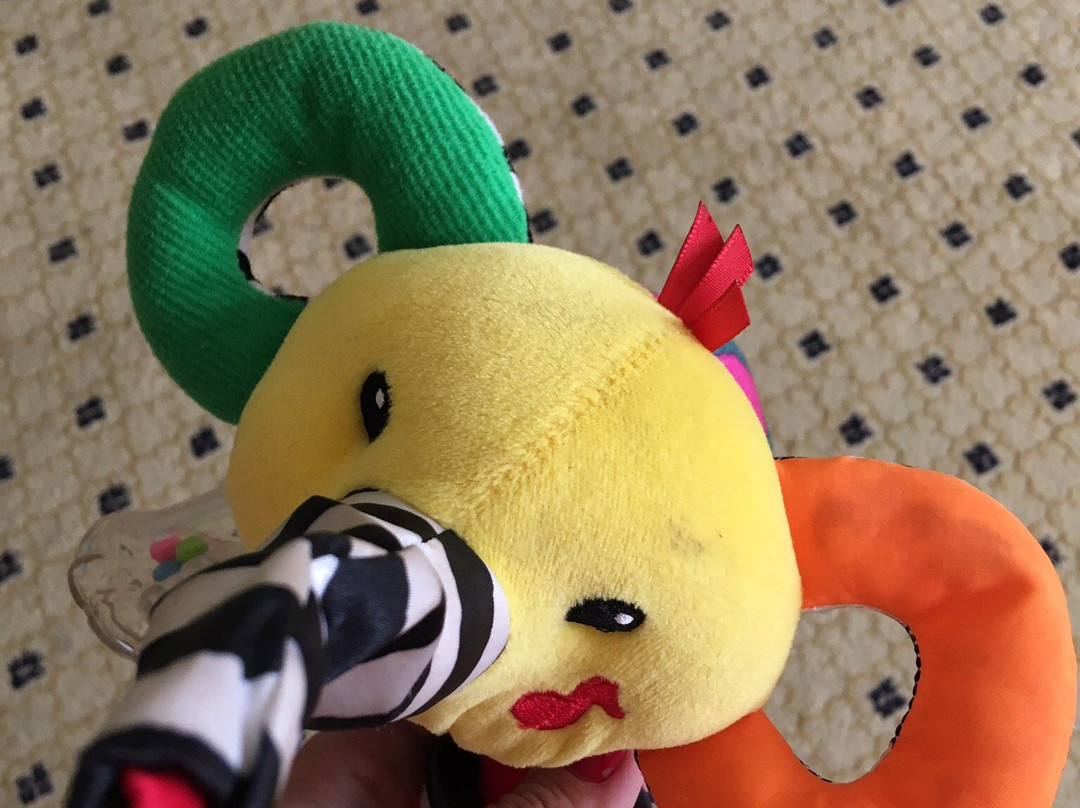 Q Resort and Spa主图