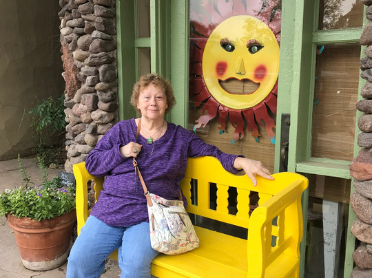 Javelinas and Hollyhocks-Fort Davis必去景点