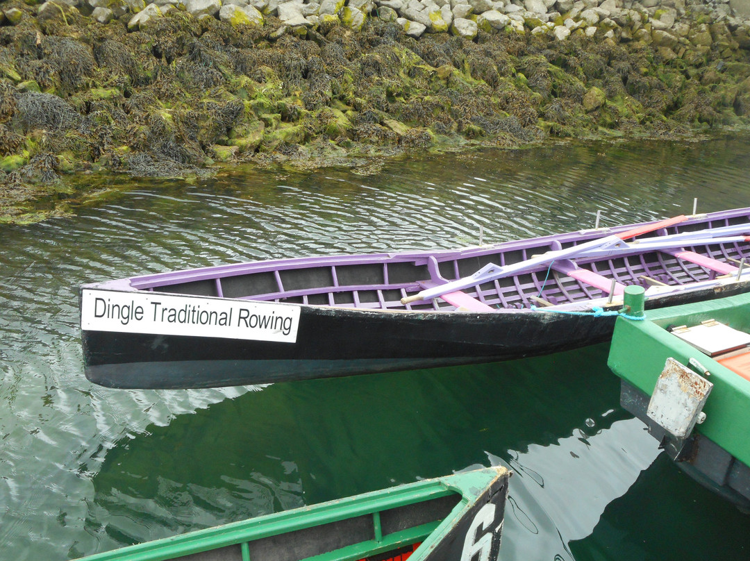Dingle Traditional Rowing (Naomhog Experience)景点图片