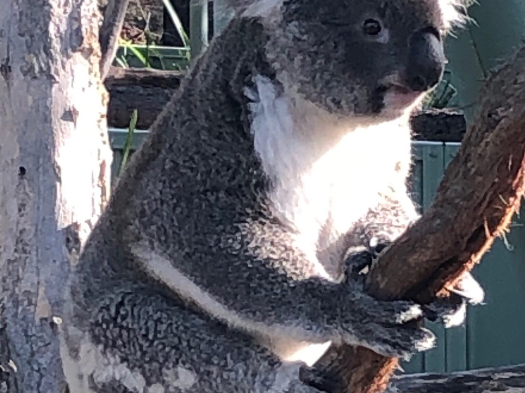 Beautiful Tours Australia-悉尼必去景点