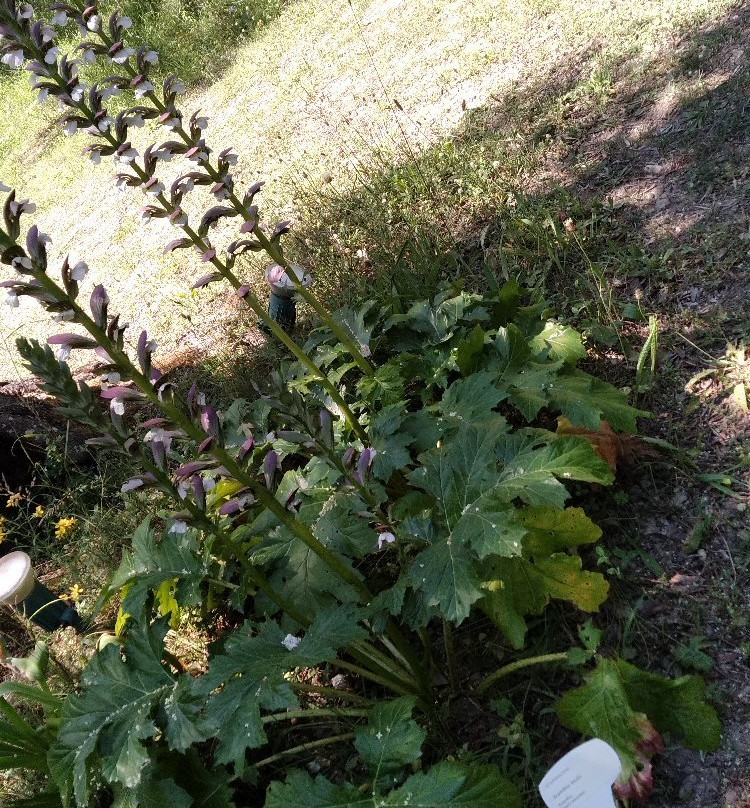 Cephalonia Botanica-阿尔戈斯托利翁必去景点