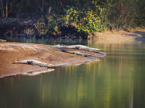 Wildlense-潘纳必去景点