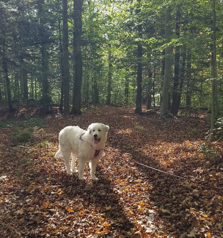 Burlingame Trail-Cazenovia必去景点