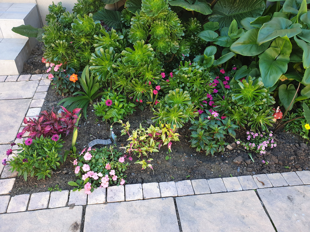 Dilisca Guesthouse主图