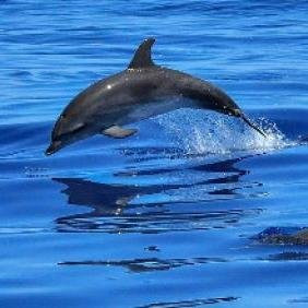 Sailing blue-Monte Argentario必去景点