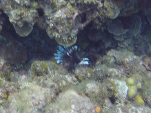 Mayans' Explorers-普拉亚德尔卡曼必去景点