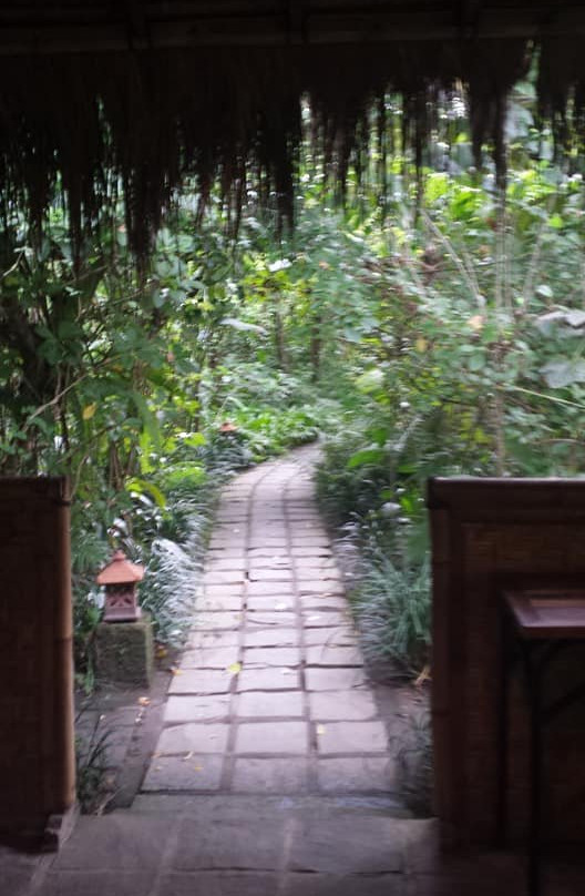 乌芭德酒店主图