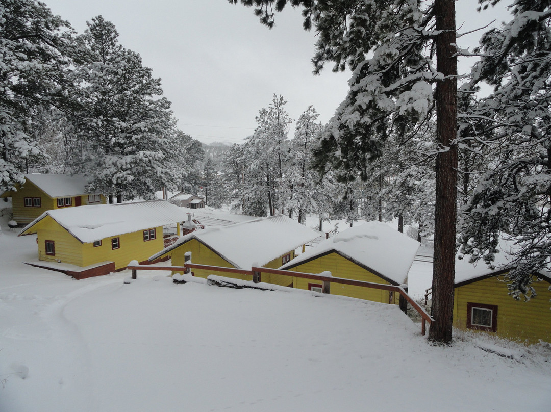 Shady Rest Motel主图