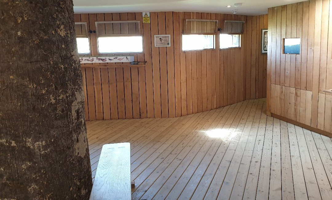 The National Trust for Jersey Wetland Centre-St. Peter必去景点