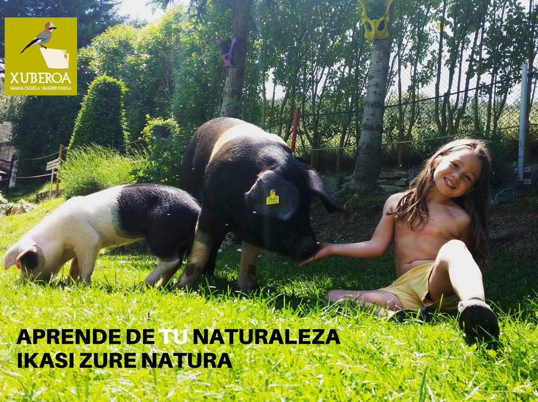 Granja Escuela Xuberoa-Larrayoz必去景点