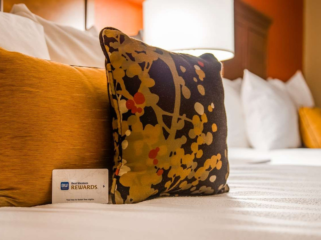 Best Western Plus St. Paul North/Shoreview主图