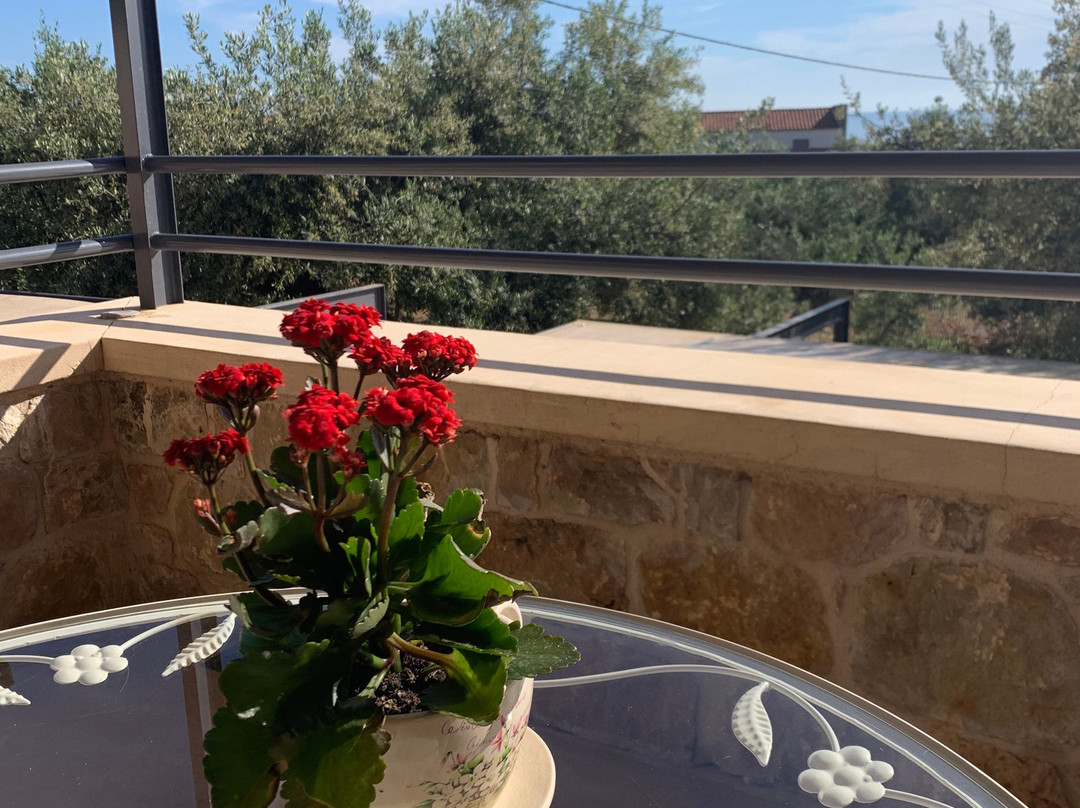 Lithos Guesthouse主图