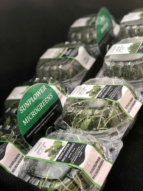 Abita Springs Art & Farmers Market-Abita Springs必去景点