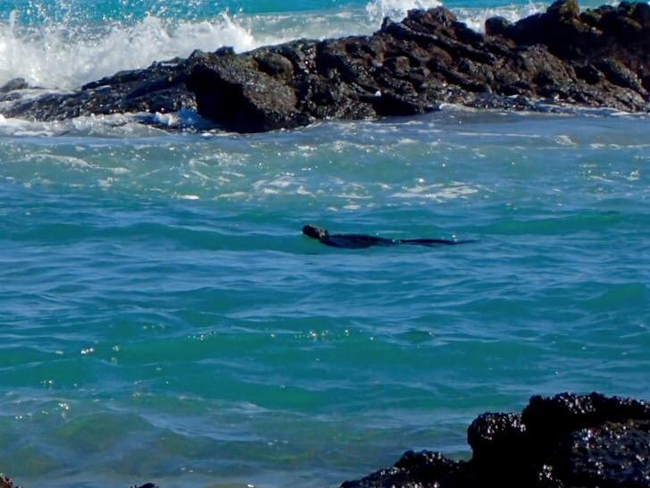 Hotel La Casa De Marita主图