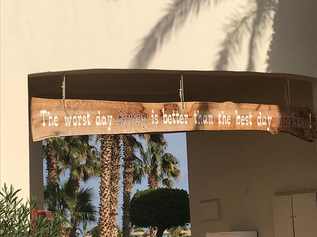 Barakuda Diving Center Safaga-Safaga必去景点