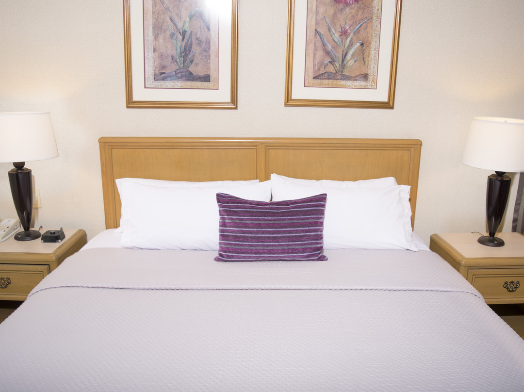 Istay Hotel Ciudad Victoria主图