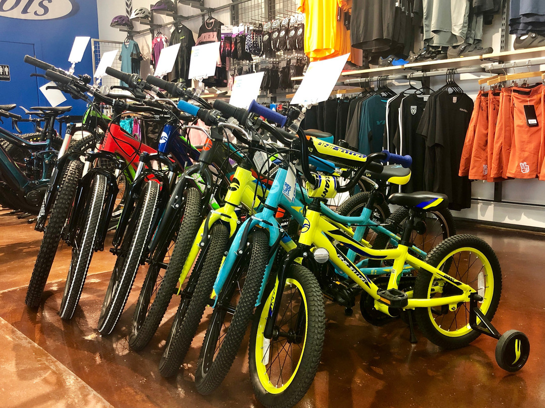 Alpine Bike Works-基灵顿必去景点