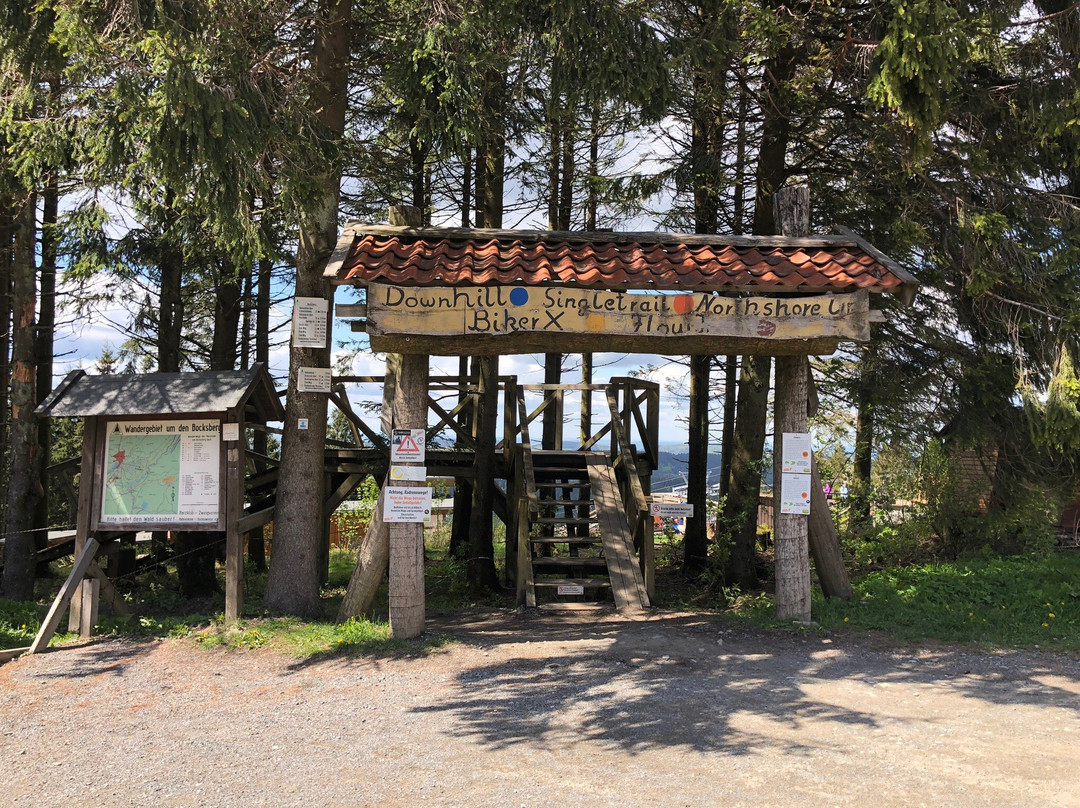 Bikepark Hahnenklee景点图片