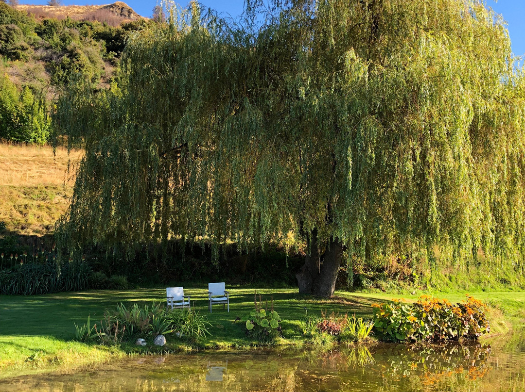 Ben Lomond Lavender-皇后镇必去景点