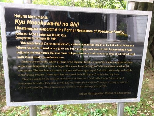 Shi Tree of the Former Hosokawa Residence-Takanawa必去景点