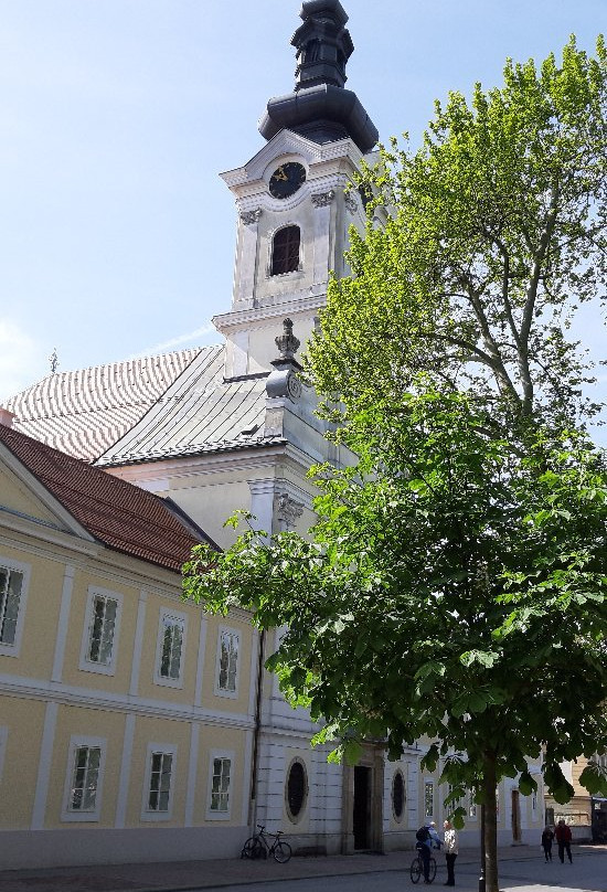 Bjelovar Cathedral景点图片