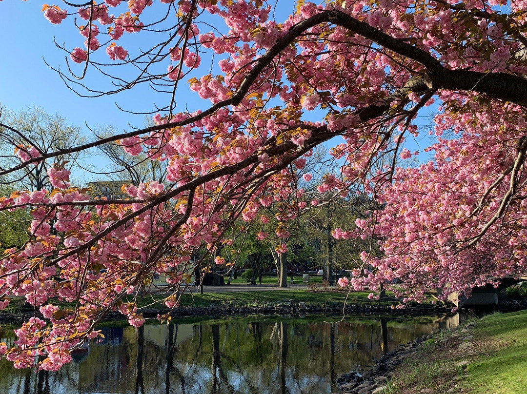 Charles River Bike Path景点图片