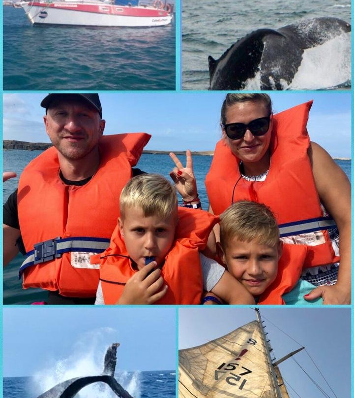 Whale Watching mit CaboKaiTours-萨尔雷必去景点