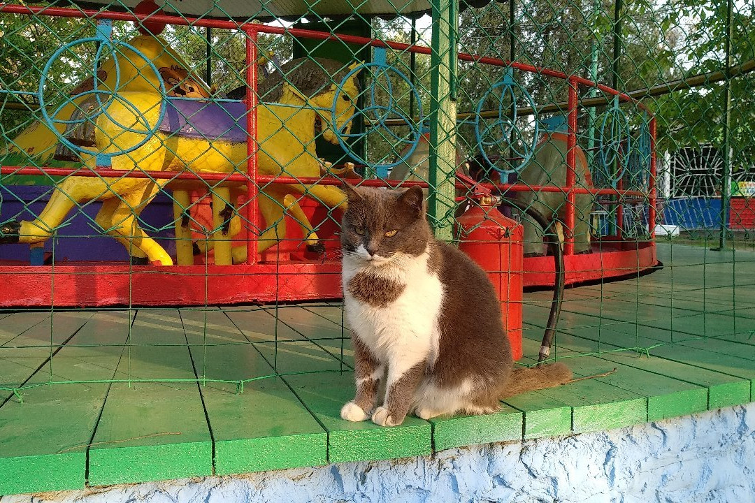 Gorky Park景点图片