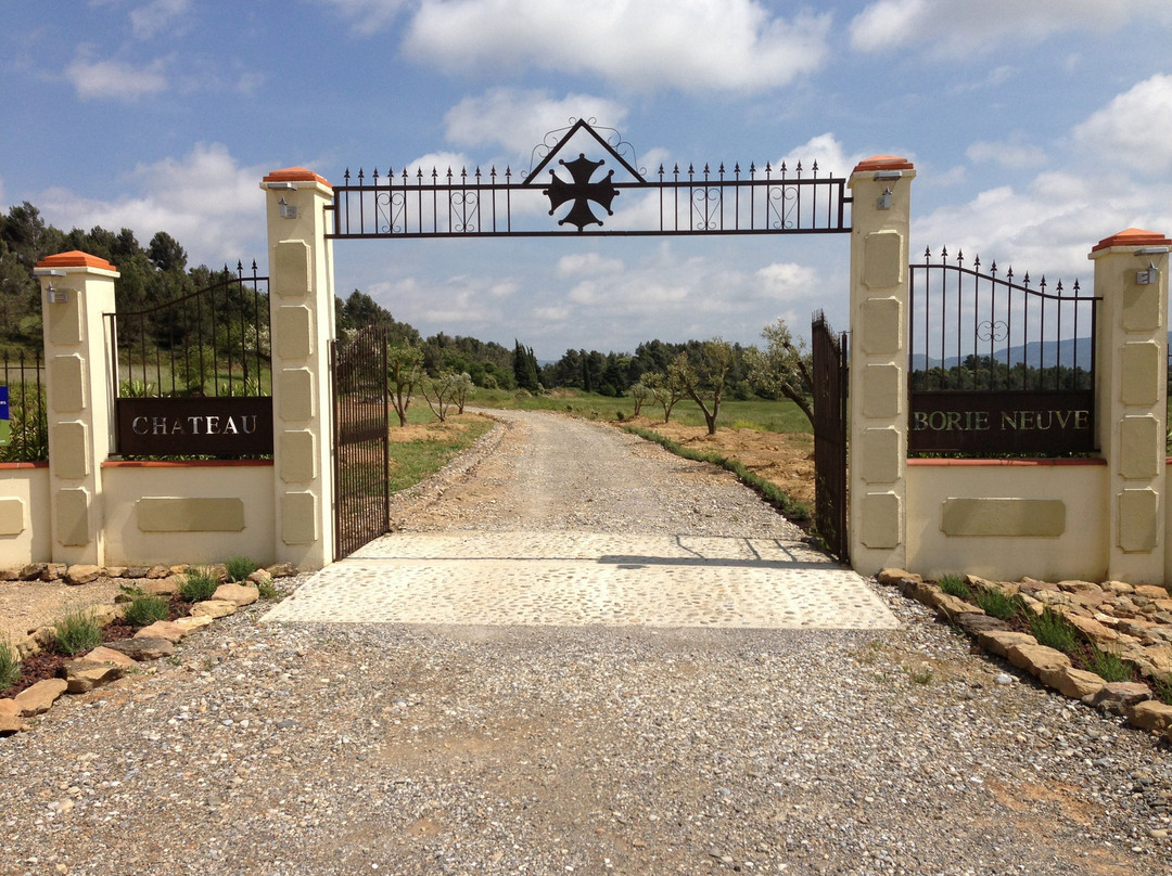 Chateau Borie Neuve主图