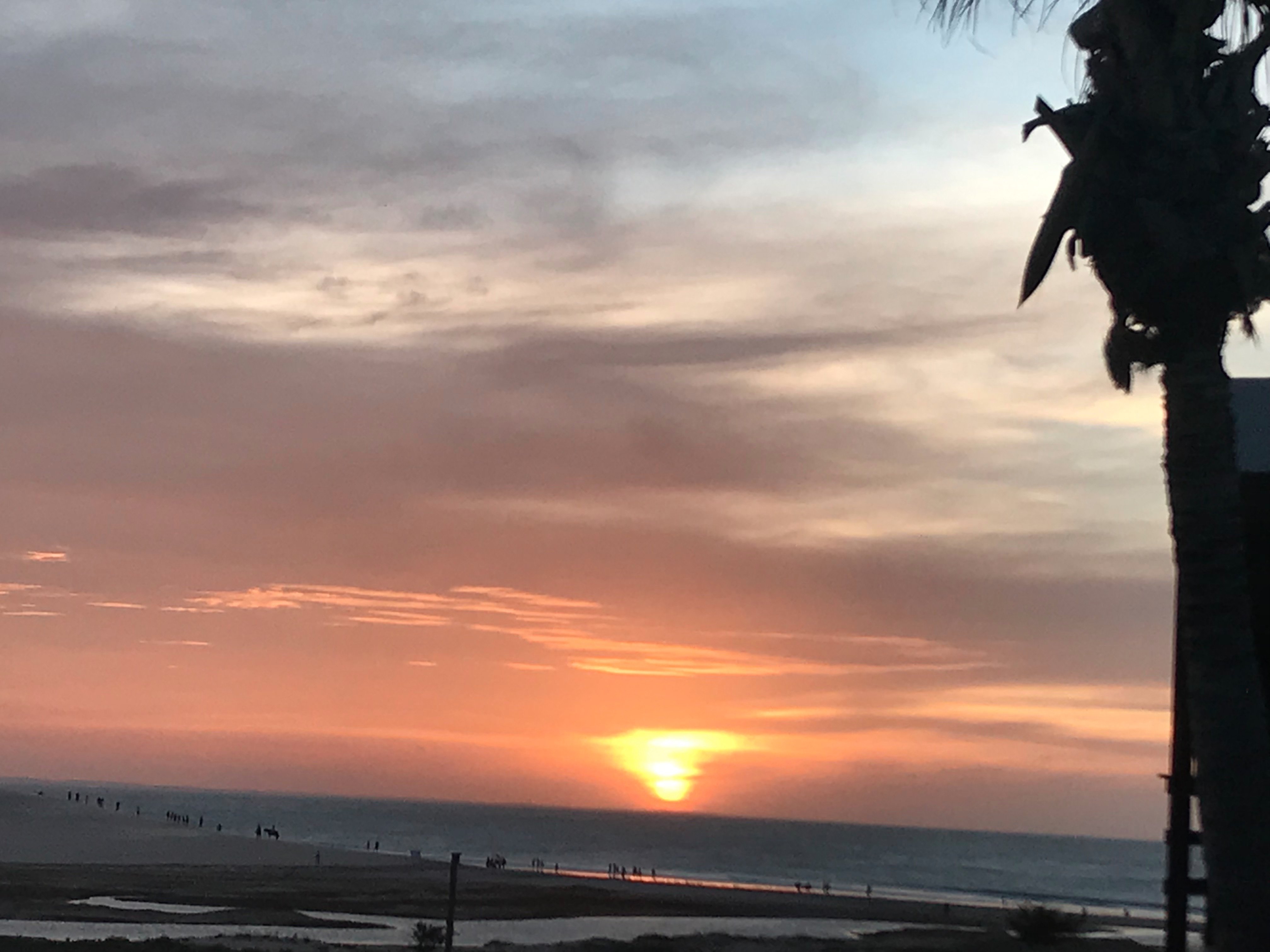 Essenza Dune-酒店景观