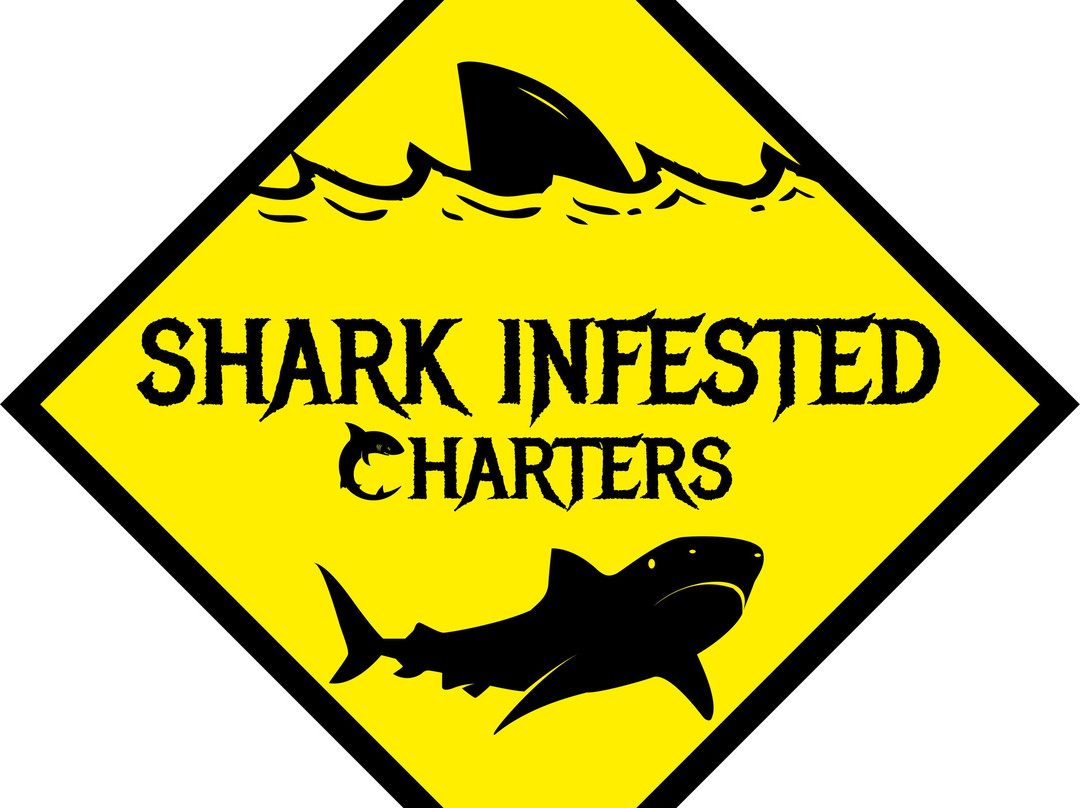 Shark Infested Charters LLC景点图片
