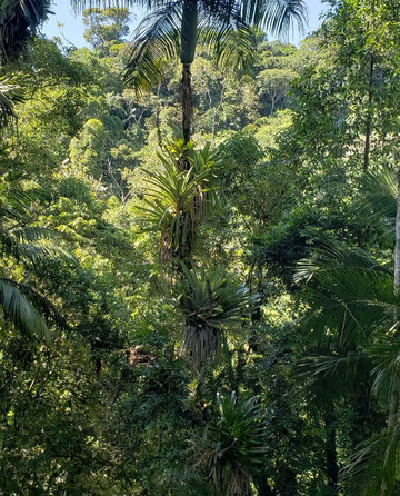 Cascata dos Amores-特雷索波利斯必去景点