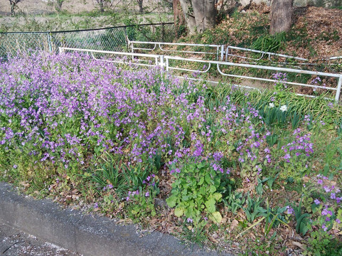 Kitamoto City Kodomo Park