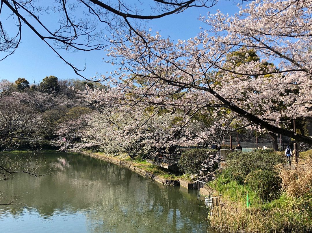 Mitsuike Park景点图片