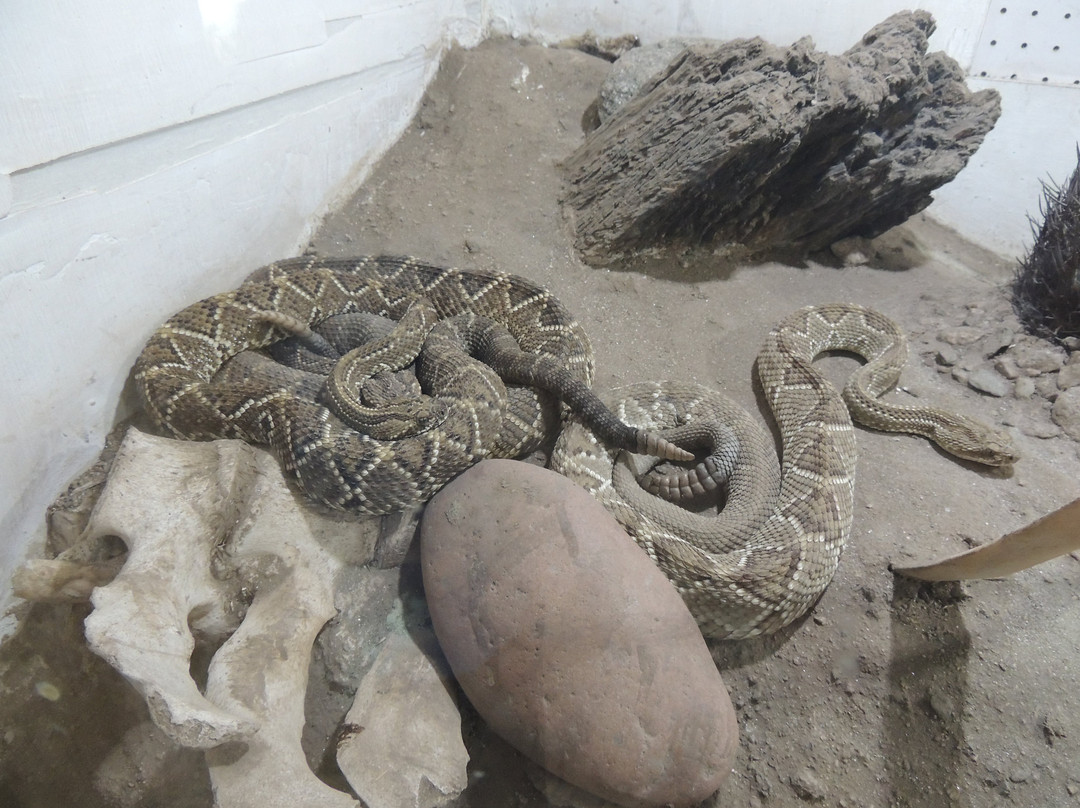 Serpentario Machaqway-Villa Las Rosas必去景点